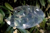 Palette plexi 50x40x0.3