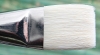 Pinceau brosse soie de porc plat N� 16