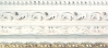 Orn� blanc us� mouchett� nez dor� 94X48 mm
