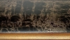 Dome noir craqul nez cong or 103X47 mm