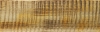 Fauve mouchett� jaune dome stri� 60X33 mm