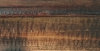 Rustique fauve profonde �corch�e satin�e 100X45 mm