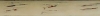 Plat ivoire us� 30 X 20 mm